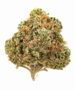 Blueberry Kush Indoor