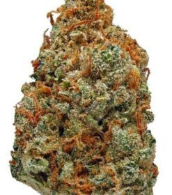 LSD Kush