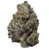 Black Truffle