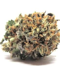 Kandy Kush