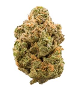 Super Silver Haze
